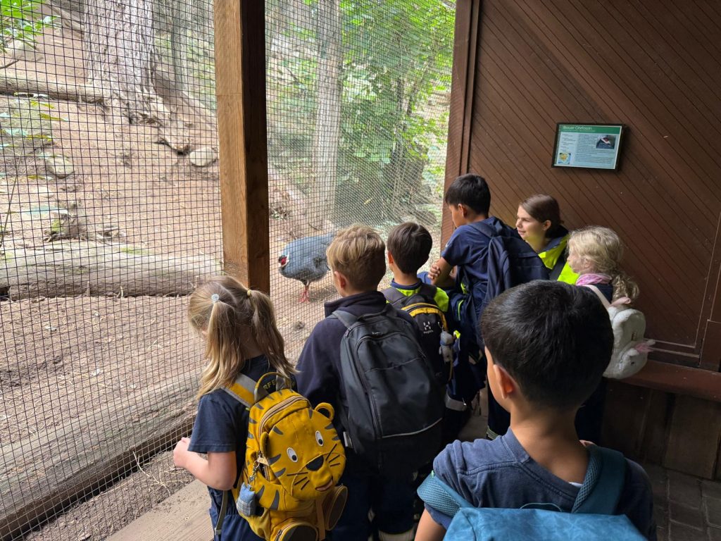 Kinderfeuerwehren im Kreis Gifhorn entdecken den Magdeburger Zoo.